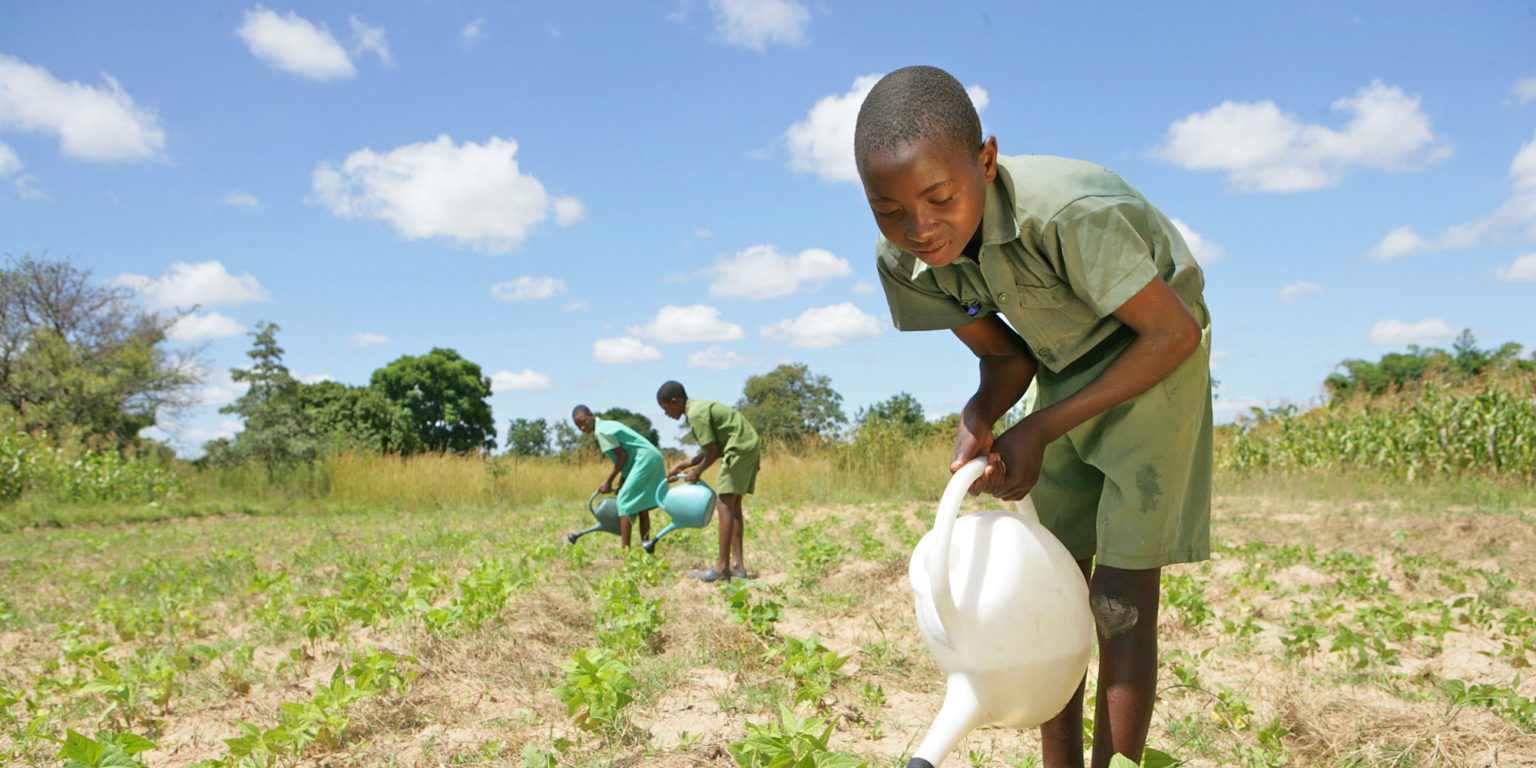 children-and-climate-change-knowledge-sharing-platform