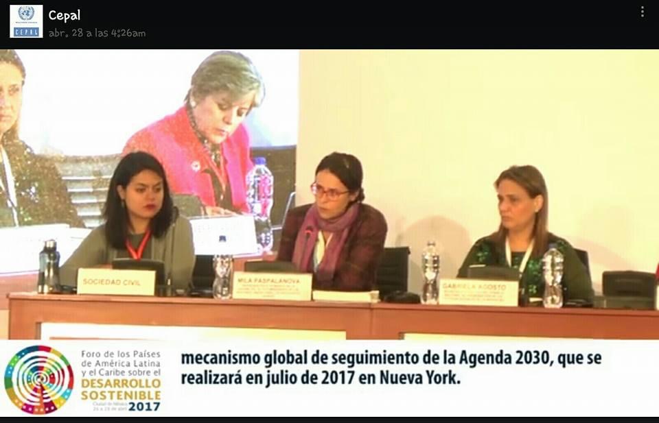 Participación en el “Foro de los Países ALC sobre Desarrollo Sostenible 2017” en la Ciudad de México para dar lectura del posicionamiento de la Sociedad Civil. 